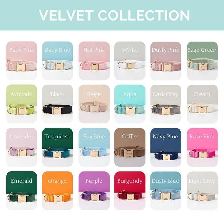 Luxury Personalized Dog Collar Leash Set Custom,custom Logo Detachable Dog Bow Tie Collar Designer Dog Collar And Leash Set