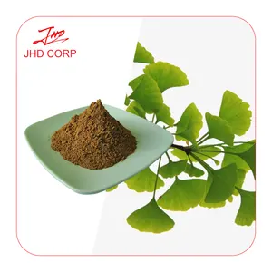 JHD Ginkgo Biloba Folha Extract 24% Flavonóides Orgânicos Ginkgo Biloba Extract