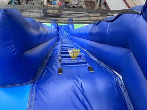 Scivolo Gonfiabile di Alta Qualità per <span class=keywords><strong>Giochi</strong></span> all'Aperto, Parco Acquatico Gonfiabile con Scivolo a Secco - Product Image 3