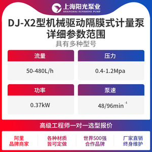 ปั๊มสูบจ่ายสารเคมีแบบไดอะแฟรม รุ่น DJ-X2 ของ Shanghai Sunshine Pump Industry ความจุ 480 ลิตร/ชั่วโมง ปั๊มจ่ายสารเคมีแรงดันสูง - Product Image 3
