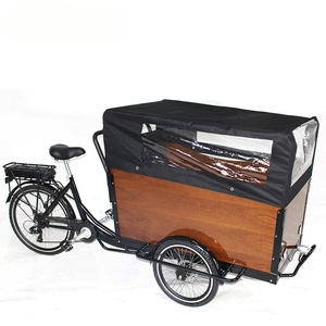 Véhicule à batterie lithium, cadre en acier, moteur sans balais 500W, livraison quotidienne, transport d'enfants, stable, sûr, moderne, T05 Kids Tr T05 Kids - Product Image 2
