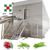 Vloeibaar snelvriesapparatuur IQF-bedvriesmachine SUS304 voor industriële verwerking van zeevruchten, garnalen, fruit en groenten