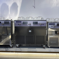Congélateur automatique à lots en acier inoxydable, machine à fabriquer des glaces italiennes, des glaces dures