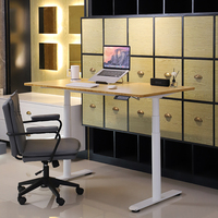 Bureau de travail électrique intelligent 2DF3, ergonomique, réglable en hauteur, bureau debout pour ordinateur, bureau de travail électrique pour la maison, meubles
