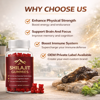 Gummies multivitaminés de beauté OEM Shilajit et Ashwagandha de l'Himalaya pour hommes et femmes, 60 unités