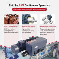 Pompe à vide rotative à paliers à huile 5,5 kW pour usine, 132 m³/h, 158 m³/h, 0,1 mbar, avec vanne de purge d'air et protection thermique pour la distillation chimique
