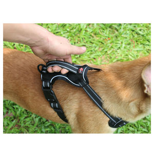 2025 nuevo arnés ecológico para perros XL, accesorio de plástico de nailon para mascotas con bonito conjunto de correa de cuello sólido para mascotas, sin tirones sólidos - Product Image 3
