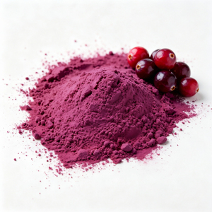Poudre de canneberge lyophilisée, poudre de fruits naturelle, complément alimentaire, matière première, approvisionnement en vrac - Product Image 1