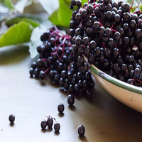 Poudre de baies d'açaï de qualité supérieure certifiée GMP KOF-Kosher, anthocyanidines de qualité alimentaire, extrait naturel d'Euterpe Oleracea, emballée sous vide