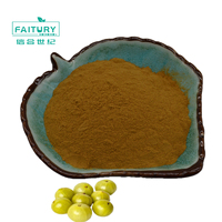 Extrait de phyllanthe orga, poudre d'extraction, amla, 50 ml