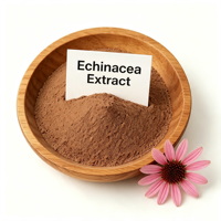 Extrait de Poudre de Plante d'Échinacée Purpurea de Qualité Alimentaire Naturelle, Fourniture d'Usine, pour la Fabrication de Boissons et de Produits Nutritionnels