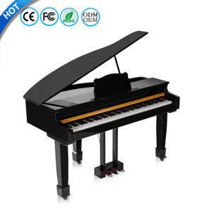 Piano Digital BLANTH, Instrumento Musical, Piano de Teclado Eléctrico en Venta - Product Image 1