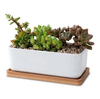 Vente en gros, promotion : Pots de fleurs géométriques blancs en céramique pour plantes succulentes, avec soucoupes en bambou, pour la maison et le jardin, livraison directe, fixation murale