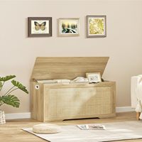 Coffre de rangement en bois de 39,4 pouces, capacité de 220 lb, charnières de sécurité doubles, organisateur de jouets, banc à chaussures pour entrée, chambre, salon