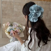 Élastique à cheveux extra-large effet amincissant avec finition nacrée et texture plissée, et une pince requin chic – une épingle à cheveux élégante