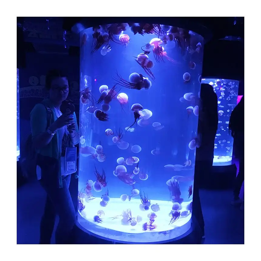 Schöne Hause LED Acryl Aquarium Rohr/Fisch Spalte Aquarium Für Verkauf