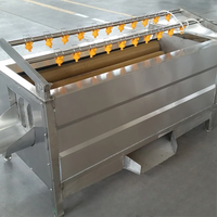 Hoge Kwaliteit Automatische Borstel Afschilmachine Voor Aloë Vera/Cactus/Cassave/Gember/Wortel/Aardappel-Wortel Groenteschiller
