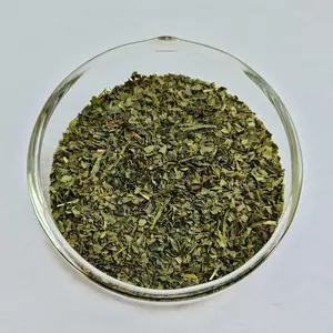 Produit populaire Pièce de thé vert cassé biologique Prix d'usine Poudre de thé vert bio pour l'Europe