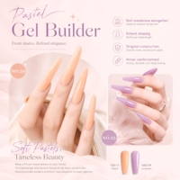 Gel Constructeur BIAB Pastel Sans HEMA et TPO, Gel UV/LED Durable pour Extension d'Ongles, Fournitures en Gros pour Salons de Manucure