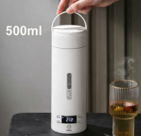 Bouilloire électrique en acier inoxydable 500 ml avec contrôle de température, thermomètre LED, arrêt automatique, portable, pour camping-car, voyage, expresso, café