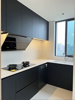 Meubles de cuisine en bois massif noir mat sans poignée, avec charnières amortissantes, design moderne et sans joint, pour rangement de grains, plans CAO inclus