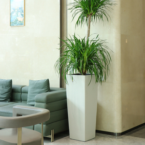 Bán Buôn Hiện Đại Sang Trọng Nhựa Thông Minh Chậu Cho Hoa Cây Trong Nhà Cao Vuông Tự Tưới Nước Trồng Lớn Ngoài Trời - Product Image 6