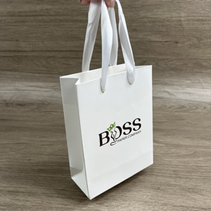 Mini <b>White</b> Paper Gift <b>Bags</b> Custom Logo <b>Small</b> <b>White</b> Paper Shopping <b>Bags</b> With Ribbon Handle For Jewelry Cosmetic Packaging - Product Image 2