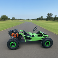 Nuevo Diseño, Motor de 4 Tiempos y 212cc, Llantas de 8 Pulgadas, Velocidad Máxima 70km/h, Go-Kart de Combustible en Oferta