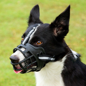 Cesta de jaula antimordeduras antiladridos <span class=keywords><strong>para</strong></span> comer, <span class=keywords><strong>bozal</strong></span> de perro transpirable reflectante mediano pequeño y grande <span class=keywords><strong>para</strong></span> <span class=keywords><strong>perros</strong></span> - Product Image 6