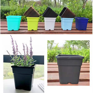 Fabricant de petits pots carrés en PP pour plantes Pots de plantes en plastique bon marché Pots de plantes succulentes en <span class=keywords><strong>terre</strong></span> <span class=keywords><strong>cuite</strong></span> Vente directe - Product Image 6