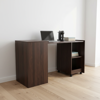 Table basse moderne en bois écologique BSCI-FSC OEM avec rangement, mobilier de maison, montage facile, design personnalisé, usage polyvalent, haute qualité