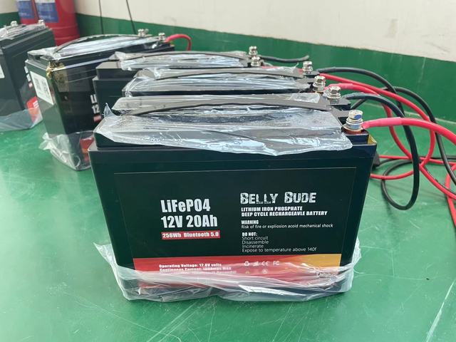 Lithium Battery 12V 20Ah LiFePO4 Lithium Ion Battery Pack Rechargeable Storage
