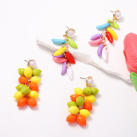 Grensoverschrijdende zomerse fruitregenboog kleurige blokken kralen kwast oorbellen niche frisse zoete plastic hoofdsjaals perfect voor vrouwen