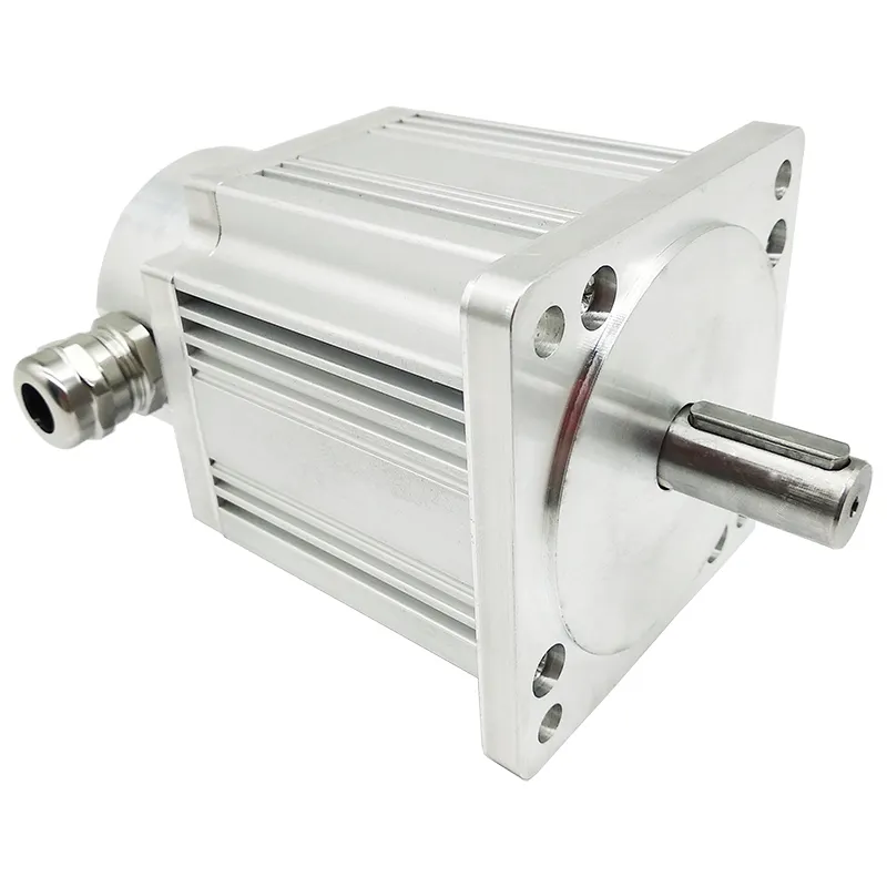 Fırçasız dc motor bl dc motor 310v 3000 rpm