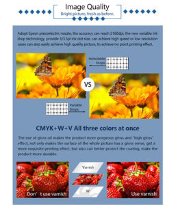 Impresora UV Plana 6090 de Gran Formato, Máquina de Inyección de Tinta Digital Rotativa para Vidrio, Acrílico, PVC, CMYK, Blanco y Barniz - Product Image 4