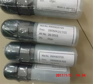 Hydraulic R900423725 DBDS6K1X/315 - Product Image 2