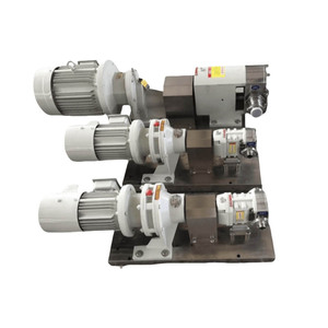 Bomba Rotativa de Lobos de Desplazamiento Positivo Sanitaria, Bomba de Transferencia de Grado Alimenticio con Motor - Product Image 6