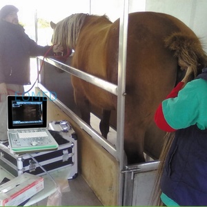 Échographe vétérinaire portable professionnel de 15 pouces pour animaux, modèle BW09vet - Product Image 6