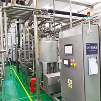 Mango Pulp Sap Verwerkingsfabriek Machine Met Kerncomponenten Pomp Motorlager Plc