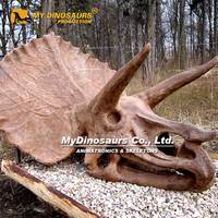 Crâne de Triceratops grandeur nature à fixer au mur Z MY DINO à vendre