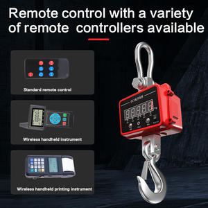 500kg Kapazität LED-Waage mit OEM/ODM-Anpassung Digitale Elektronische Kalibrierung Infrarot-Fernbedienung - Product Image 2