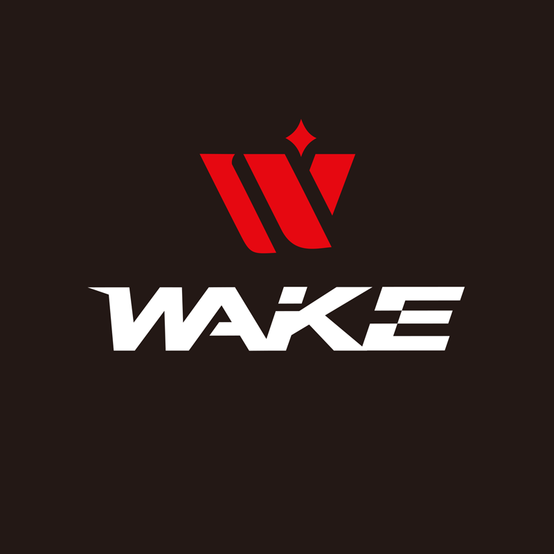 Shenzhen Best Bicycle Co., Ltd. logo