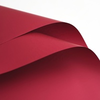 Feuilles d'emballage en papier synthétique PE écologique, imperméables, couleur unie, mat, pour emballage de bouquets de fleurs, emballage cadeau, 58x58cm