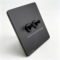 Interruptor de Pared Retro de Acero Inoxidable Negro Mate Vintage, Interruptor de Palanca de 2 Vías IP20 16A, Enchufe USB Tipo C Francés para la UE, 220V