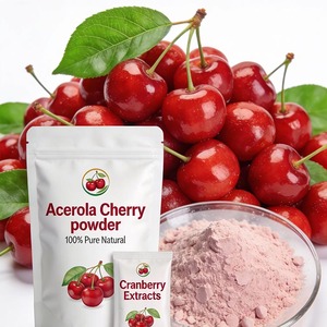Polvo de Extracto Herbal de Acerola Silvestre, Grado Alimenticio, Certificado ISO9001, Empaquetado en Tambor para Bebidas, Alimentos y Uso OEM - Product Image 2