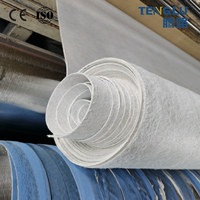 Géotextile non tissé multifonctionnel en PP/PET 300g-800g pour la protection côtière, le drainage des talus et la remise en état des terres