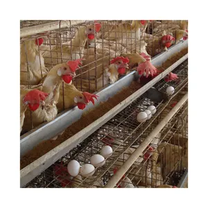 Промышленные птицефабрика полностью автоматизированный яйцо курицы слоя Батарейная Клетка системы