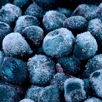 Haute qualité nouvelle saison myrtille fruits myrtille congelée myrtille sauvage bleuets compliments myrtilles congelées