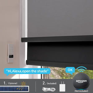 ZSTARR, venta al por mayor, cortinas de ventana, Control remoto motorizado inteligente eléctrico, doble capa, 2 en 1, persianas enrollables de día y noche - Product Image 3