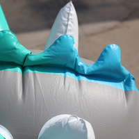 Nouveau Dragon Géant Gonflable en PVC Argenté Personnalisé pour Piscine – Utilisation Extérieure, Capacité 1 Personne